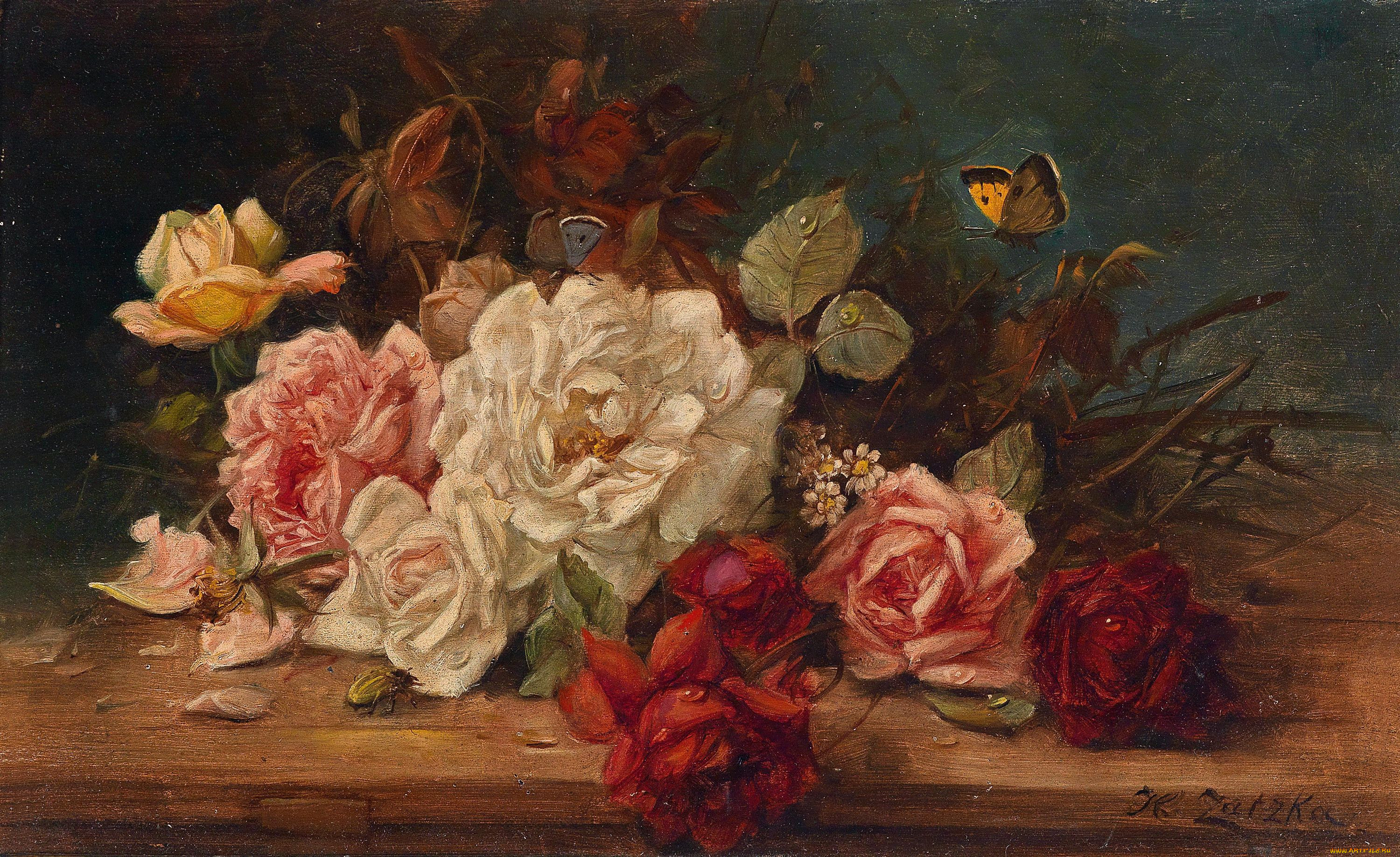 hans, zatzka, 